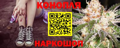 шишки Апшеронск