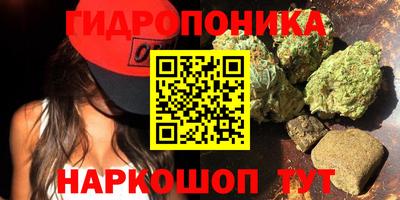 ПСИЛОЦИБИНОВЫЕ ГРИБЫ Аргун